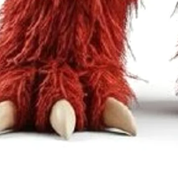 Close-up of Zawsters' feet and pale claws