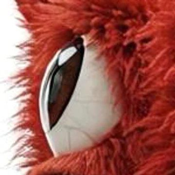 Side profile of Zawsters' eye