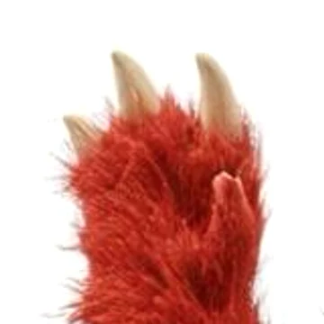 Close-up of Zawsters' raised paw with pale claws