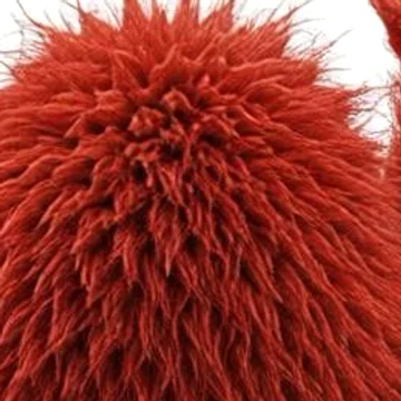 Close-up of the dense fur on the back of Zawsters' head