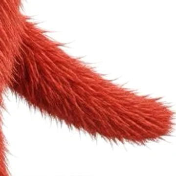 Close-up of Zawsters' fluffy tail